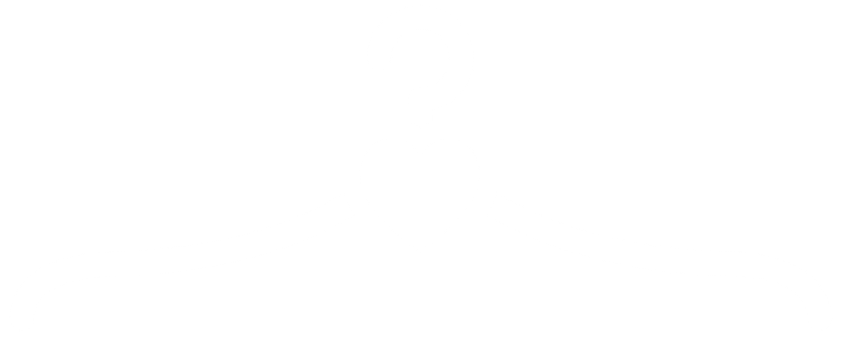 Your image alt text